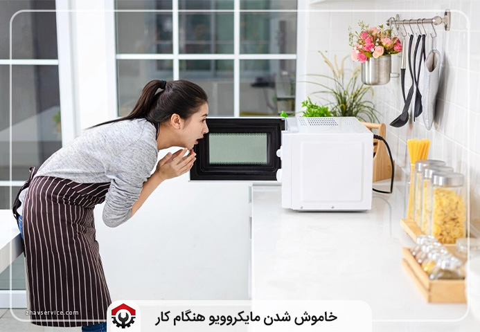 تعمیرات ماکروفر بوش