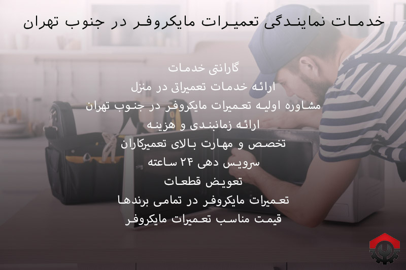 تعمیرات مایکروفر در جنوب تهران 