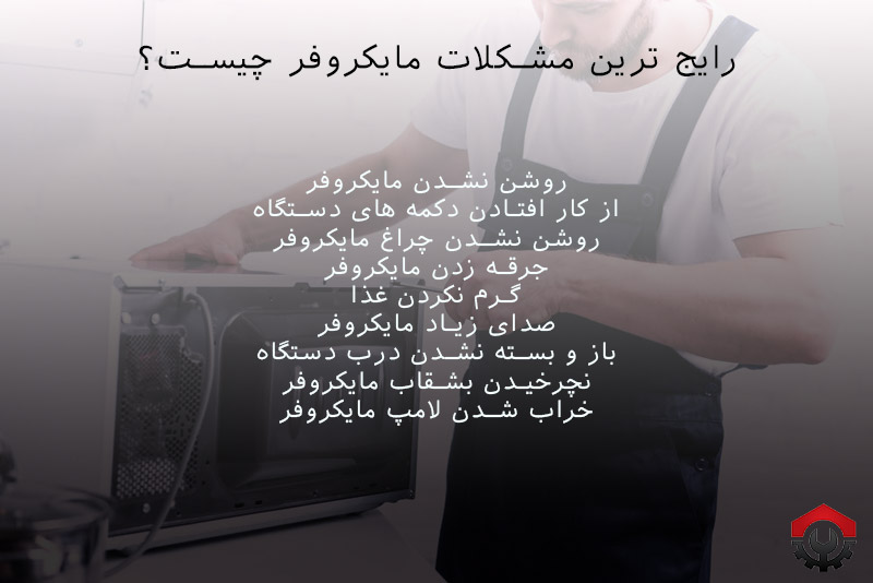 تعمیرات مایکروفر در جنوب تهران 