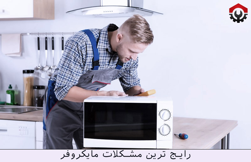تعمیرات مایکروفر در شمال تهران