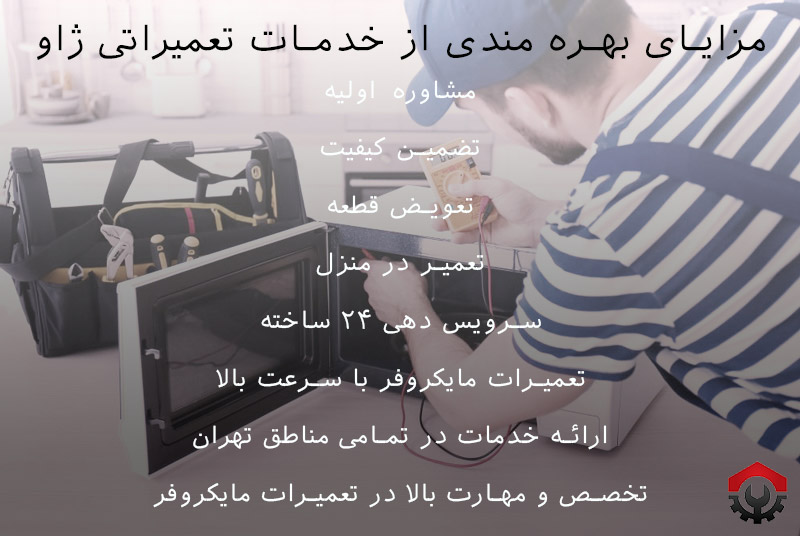 تعمیرات مایکروفر در شمال تهران